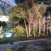 фото из отзыва ID 1862261