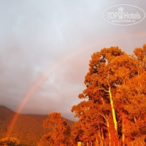 фото из отзыва ID 1862261