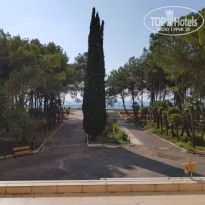 фото из отзыва ID 1862261