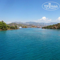 фото из отзыва ID 1862398