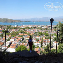 фото из отзыва ID 1862398