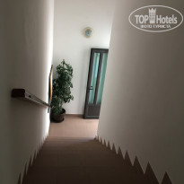 фото из отзыва ID 1862547