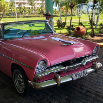 фото из отзыва ID 1862655