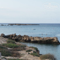 фото из отзыва ID 1862663