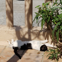 фото из отзыва ID 1862819