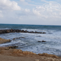 фото из отзыва ID 1862819