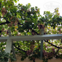 фото из отзыва ID 1862819