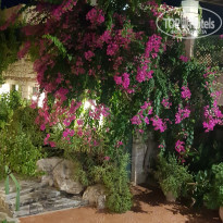 фото из отзыва ID 1862819