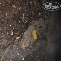 фото из отзыва ID 1862841