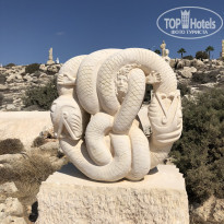 фото из отзыва ID 1862966