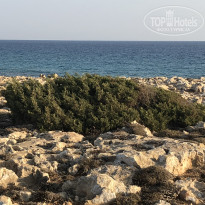 фото из отзыва ID 1862966