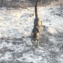 фото из отзыва ID 1862966