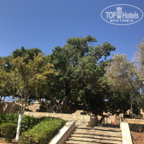 фото из отзыва ID 1862966