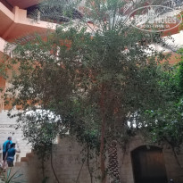 фото из отзыва ID 1862973