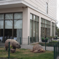 фото из отзыва ID 1863074