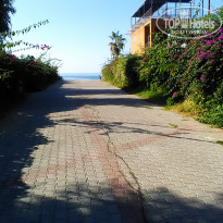 фото из отзыва ID 1863209