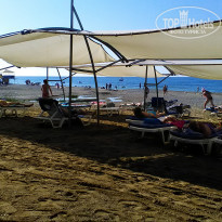 фото из отзыва ID 1863209