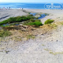 фото из отзыва ID 1863209