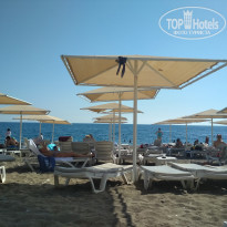 фото из отзыва ID 1863259