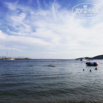 фото из отзыва ID 1863291