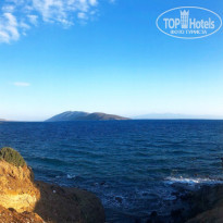 фото из отзыва ID 1863291