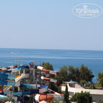 фото из отзыва ID 1863347