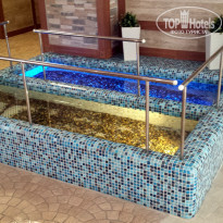 фото из отзыва ID 1863477