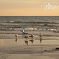 фото из отзыва ID 1863477