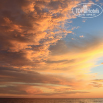 фото из отзыва ID 1863477