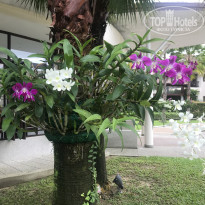 фото из отзыва ID 1863253