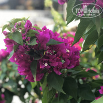 фото из отзыва ID 1863555