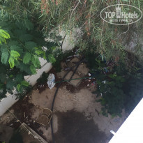 фото из отзыва ID 1863558