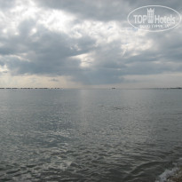 фото из отзыва ID 1863579