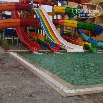 фото из отзыва ID 1863625