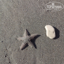 фото из отзыва ID 1863784