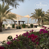 фото из отзыва ID 1863972