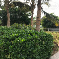 фото из отзыва ID 1863972