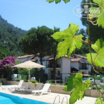 фото из отзыва ID 1864084