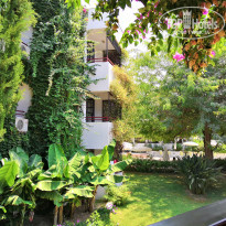 фото из отзыва ID 1864086