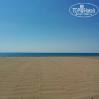 фото из отзыва ID 1864173