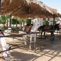 фото из отзыва ID 1863433