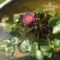 фото из отзыва ID 1864237