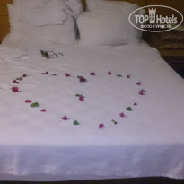 фото из отзыва ID 1864263