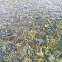 фото из отзыва ID 1864277