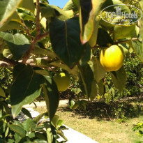 фото из отзыва ID 1864277