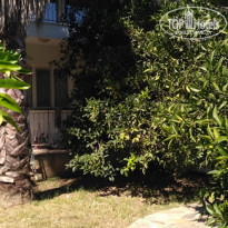 фото из отзыва ID 1864277