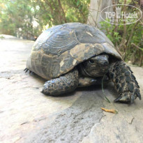 фото из отзыва ID 1864277