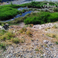 фото из отзыва ID 1863209