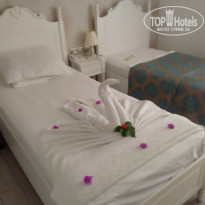 фото из отзыва ID 1864316