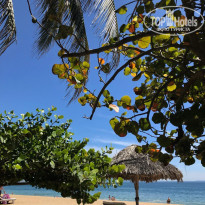 фото из отзыва ID 1864379